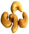 where to search, find and buy cashew kernel in nigeria and africa