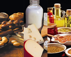 find chemicals and raw materials for food industry in nigeria and africa