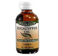 search for eucalyptus oil in nigeria and africa