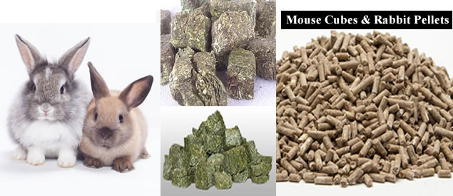 buy mouse cubes and rabbit pellets in nigeria and africa