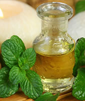 buy peppermint oil in nigeria