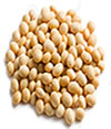 find and buy soy beans in nigeria and across africa